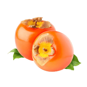 Fresh Persimmon